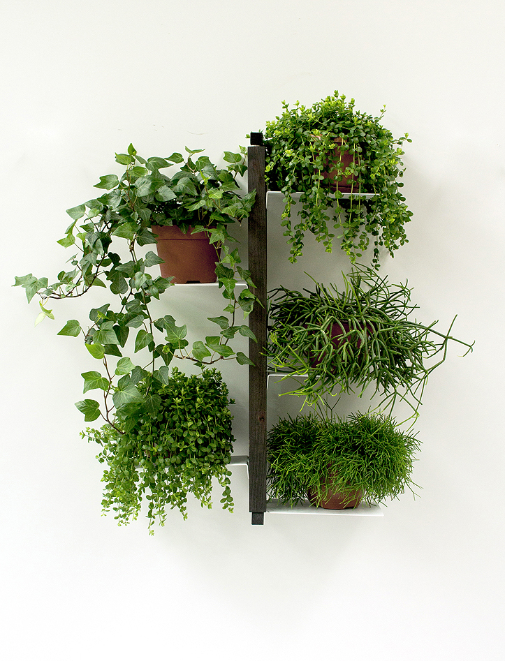 LE ZIE DI MILANO porte-plantes fixé au mur ZIA FLORA