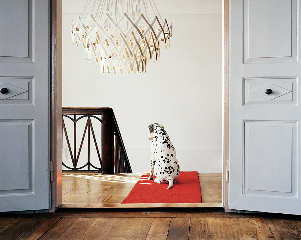 SERIEN LIGHTING lampe à suspension ZOOM XL 3