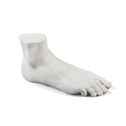 SELETTI élément décoratif MALE FOOT MEMORABILIA MVSEVM