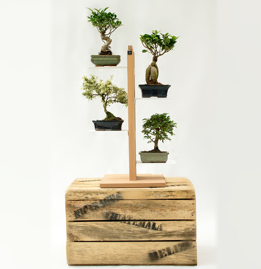 LE ZIE DI MILANO porte-plantes ZIA FLORA