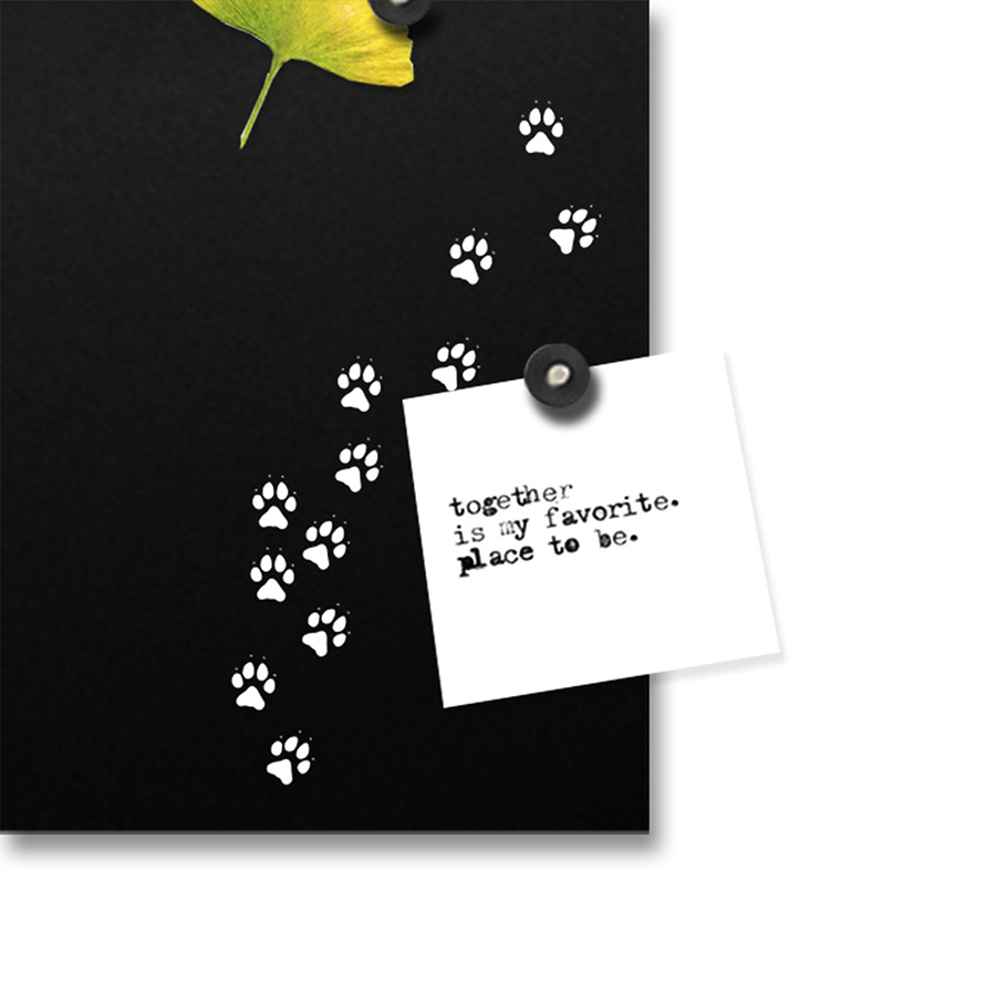 dESIGNoBJECT horloge murale CAT CLOCK