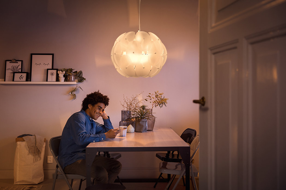 PHILIPS lampe à suspension 4096660PN Roseval Pendant MyLiving