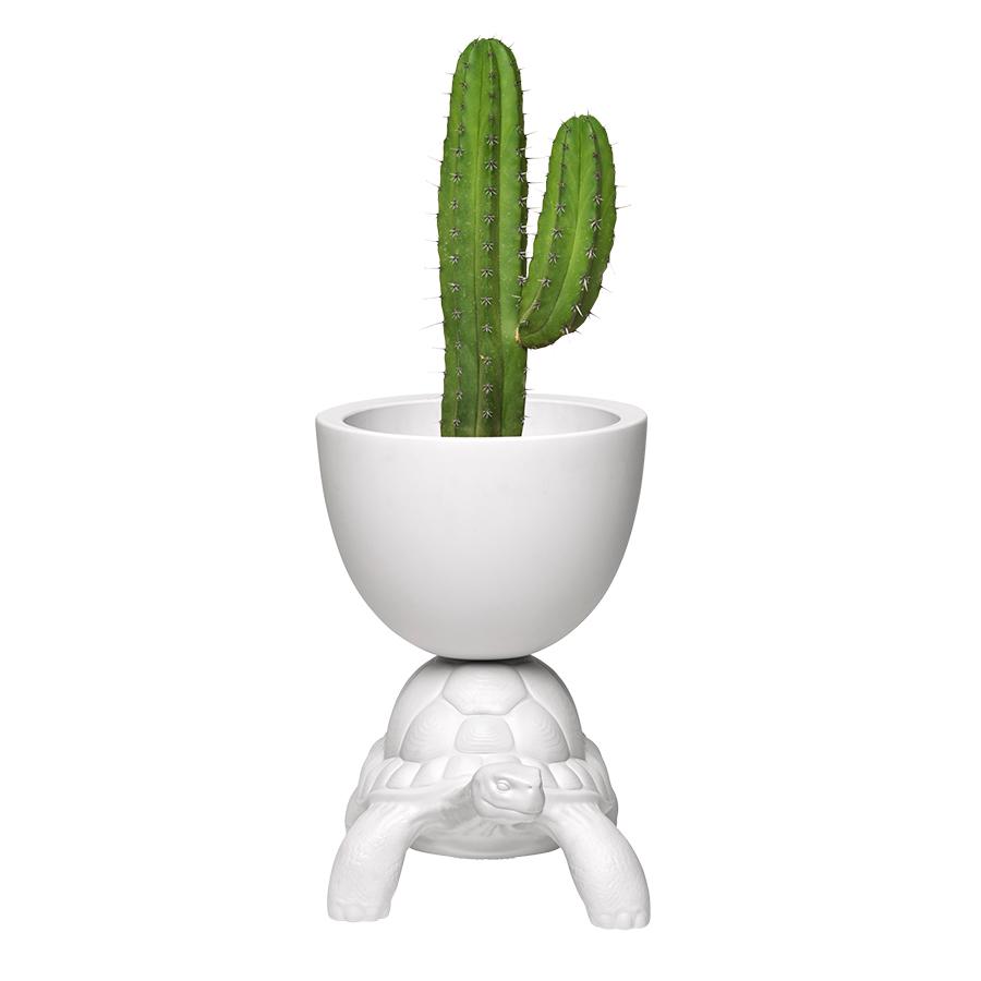 QEEBOO vase TURTLE CARRY PLANTER
