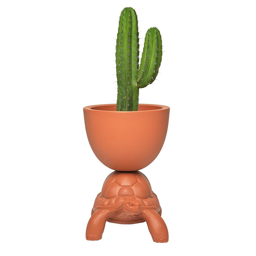 QEEBOO vase TURTLE CARRY PLANTER