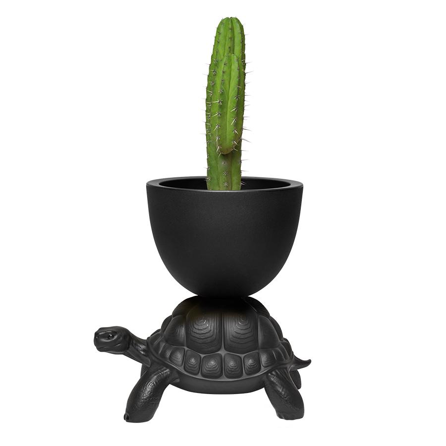 QEEBOO vase TURTLE CARRY PLANTER
