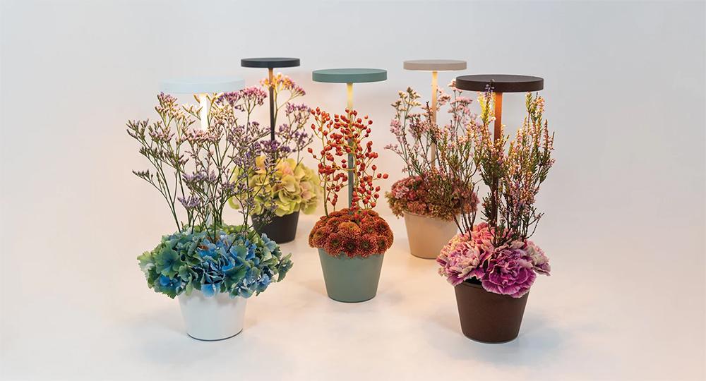 ZAFFERANO set de 3 lampes de table POLDINA REVERSO