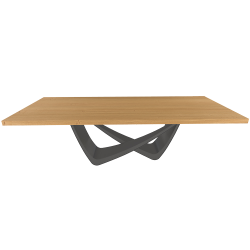 BONTEMPI table fixe rectangulaire avec structure anthracite BACH 53.82 250x100 cm