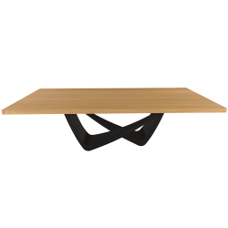 BONTEMPI table fixe rectangulaire avec structure noire matte BACH 53.82 250x100 cm