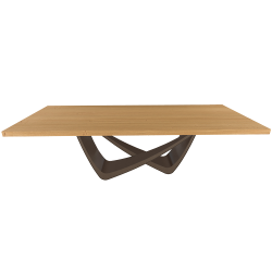BONTEMPI table fixe rectangulaire avec structure laiton foncé BACH 53.82 250x100 cm