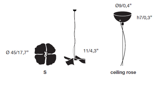 Opinion Ciatti Papavero raggiante