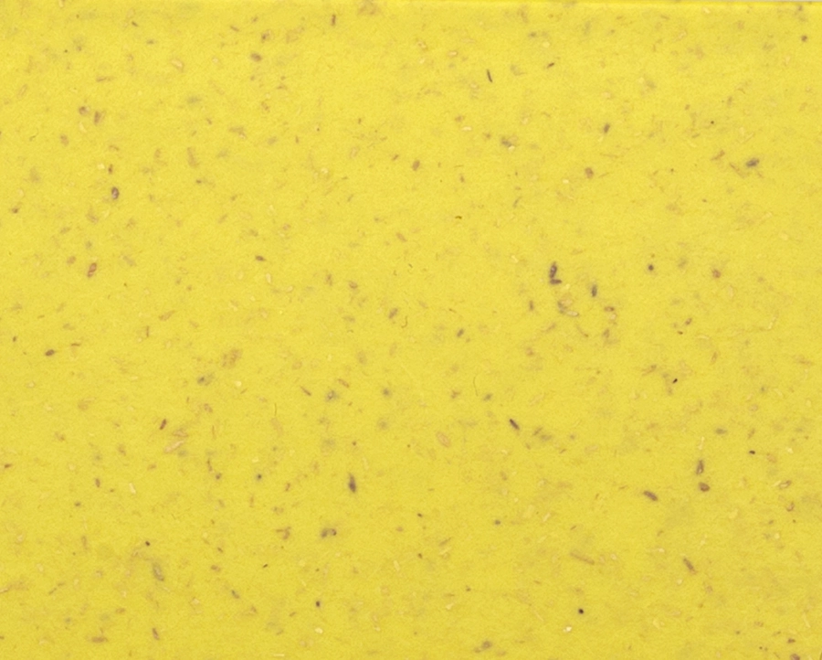 EMECO BROOM STACKING CHAIR set de 2 chaises sans accoudoirs