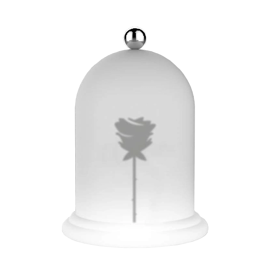 MYYOUR lampe de table ROSE LIGHT TALES COLLECTION