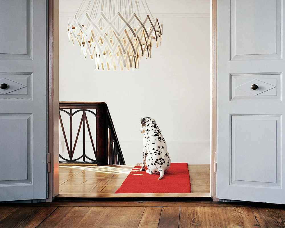 SERIEN LIGHTING lampe à suspension ZOOM XL 3