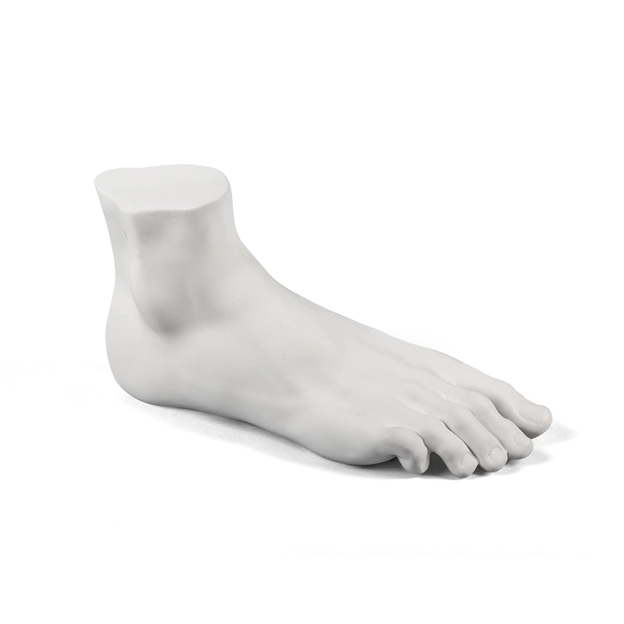 SELETTI élément décoratif MALE FOOT MEMORABILIA MVSEVM