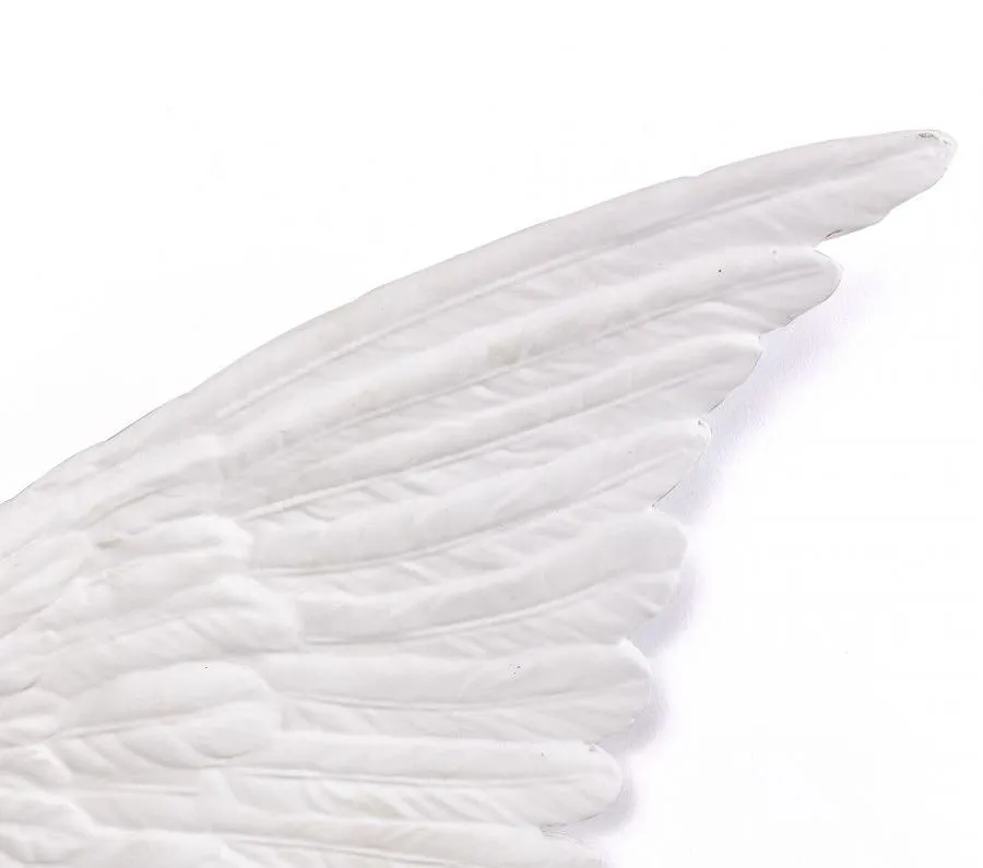 SELETTI élément décoratif pièce maîtresse WING MEMORABILIA MVSEVM