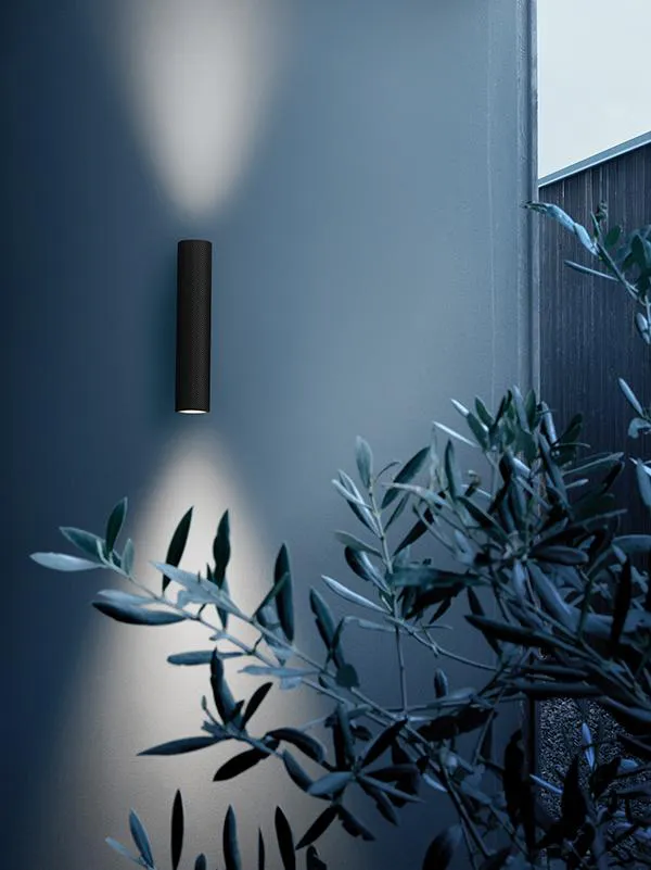 FLOS OUTDOOR lampe murale pour l'extérieur FLAUTA SPIGA H 225 mm