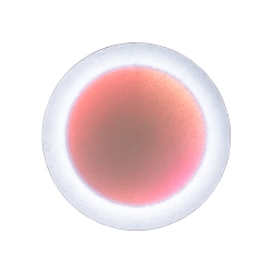 INGO MAURER lampe murale applique MOODMOON