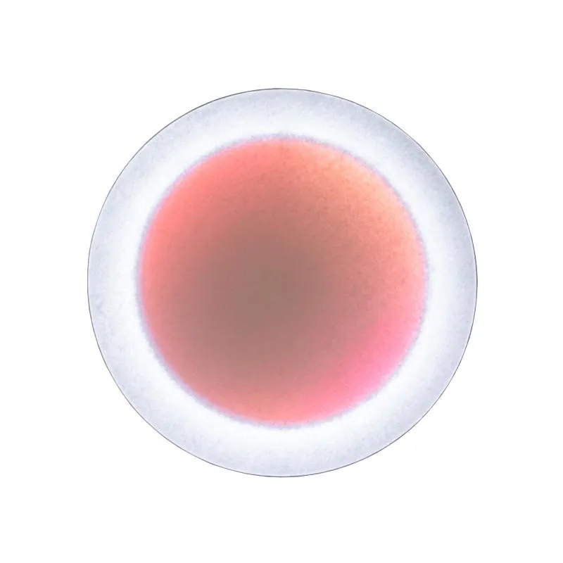 INGO MAURER lampe murale applique MOODMOON