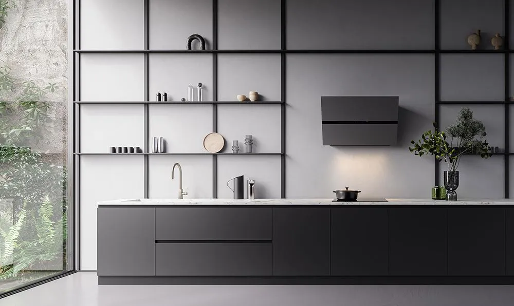 FALMEC hotte murale FUSION